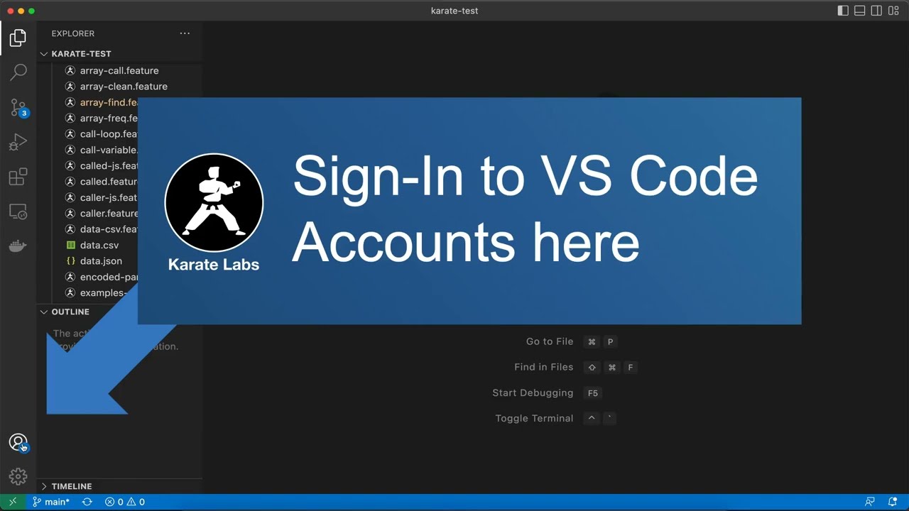 Karate Pro - Visual Studio Code - How to Sign In