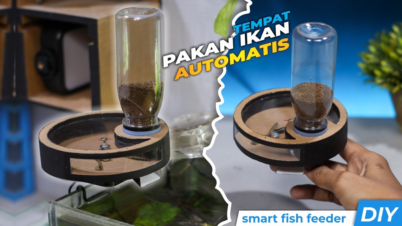 Cara Mudah Membuat Pemberi Pakan Ikan Otomatis