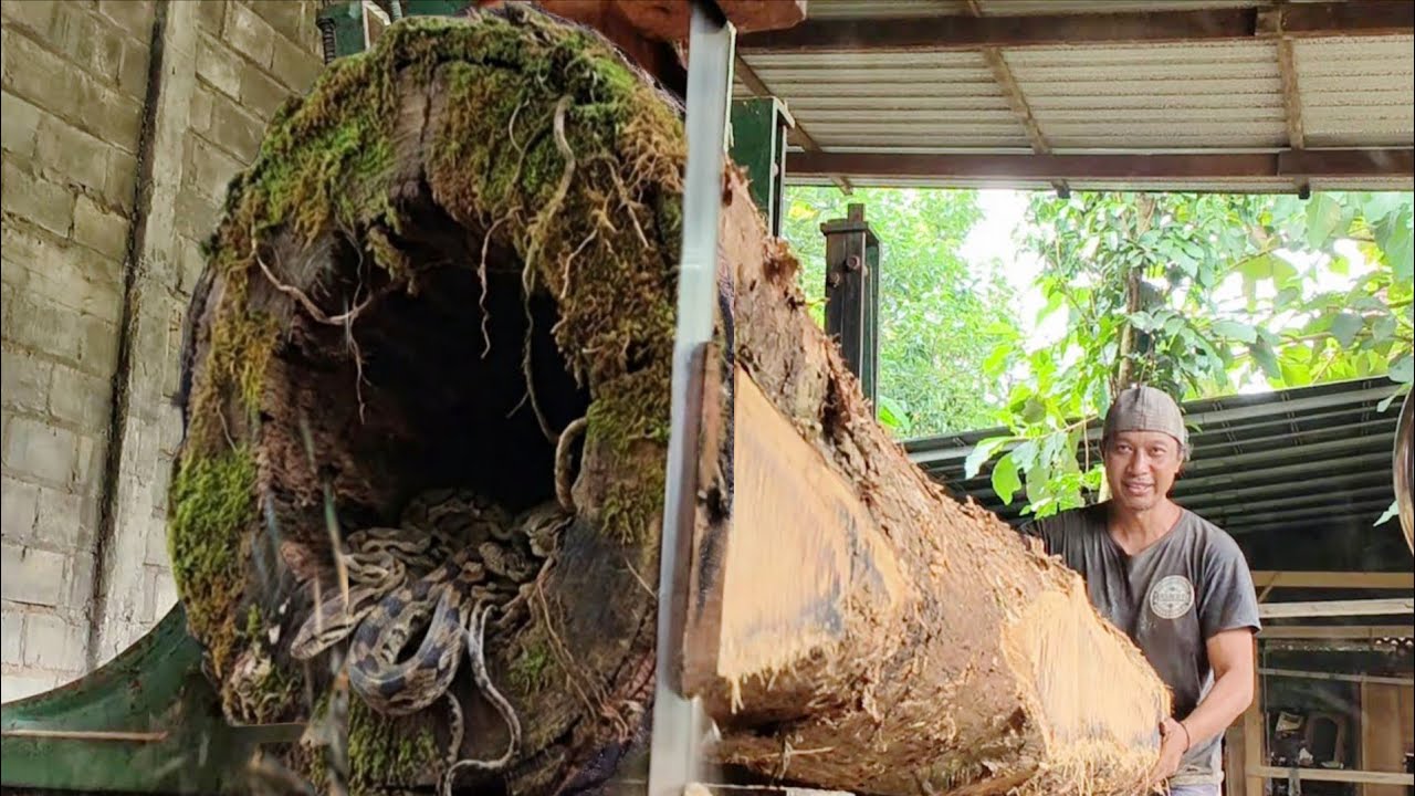 Challenges inside the American sawmill || Sawing oak wood to make fishing boat planks