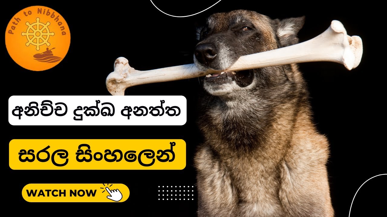 Anichcha Dukka Anaththa අනිච්ච, දුක්ඛ, අනත්ත - සරල සිංහලෙන් - Weekly Discussions - Ep 01