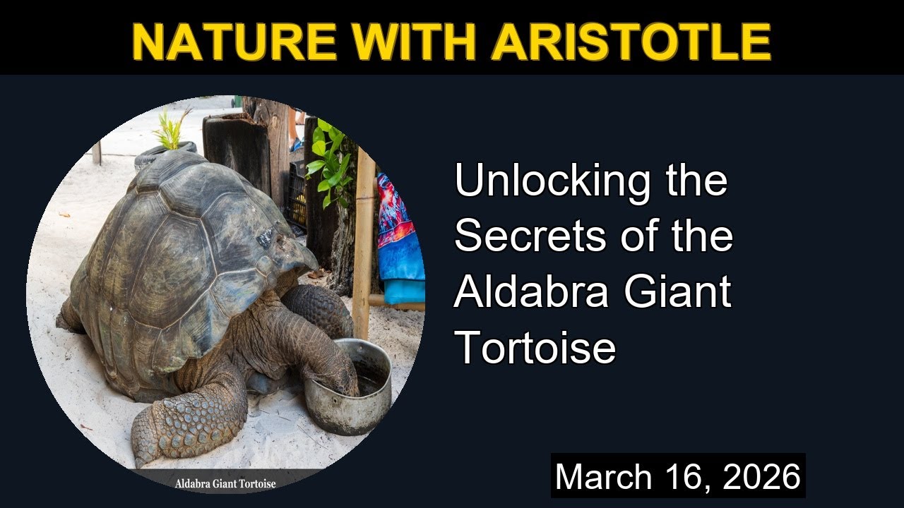 Unlocking the Secrets of the Aldabra Giant Tortoise | Nature with Aristotle