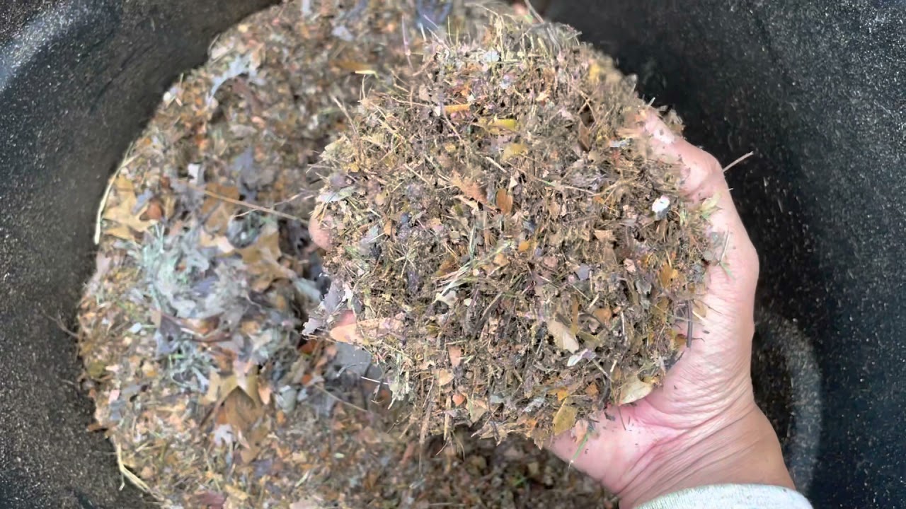How to Mulch Fall Leaves for Fast Decomposition