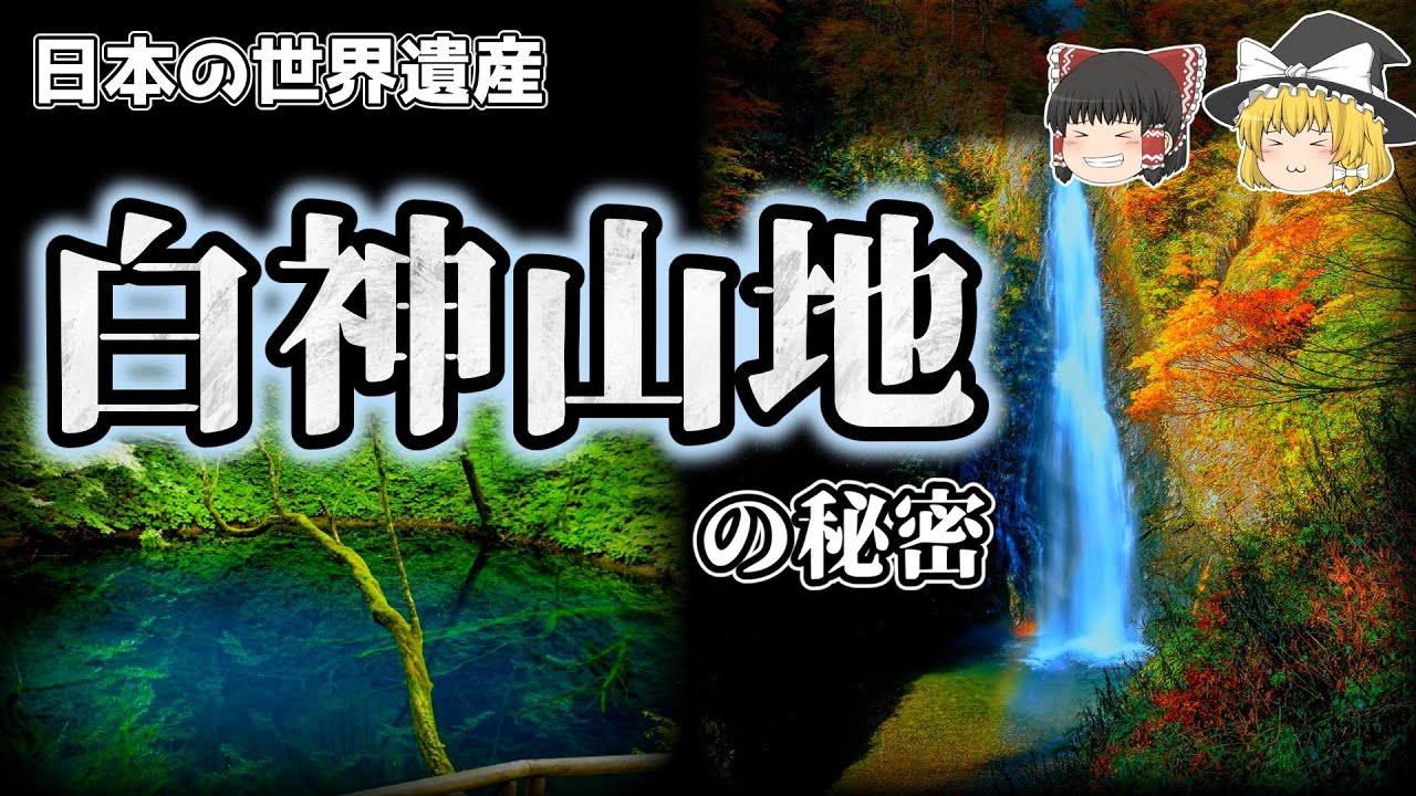 日本の世界遺産「白神山地」ブナ原生林の秘密！【ゆっくり解説】