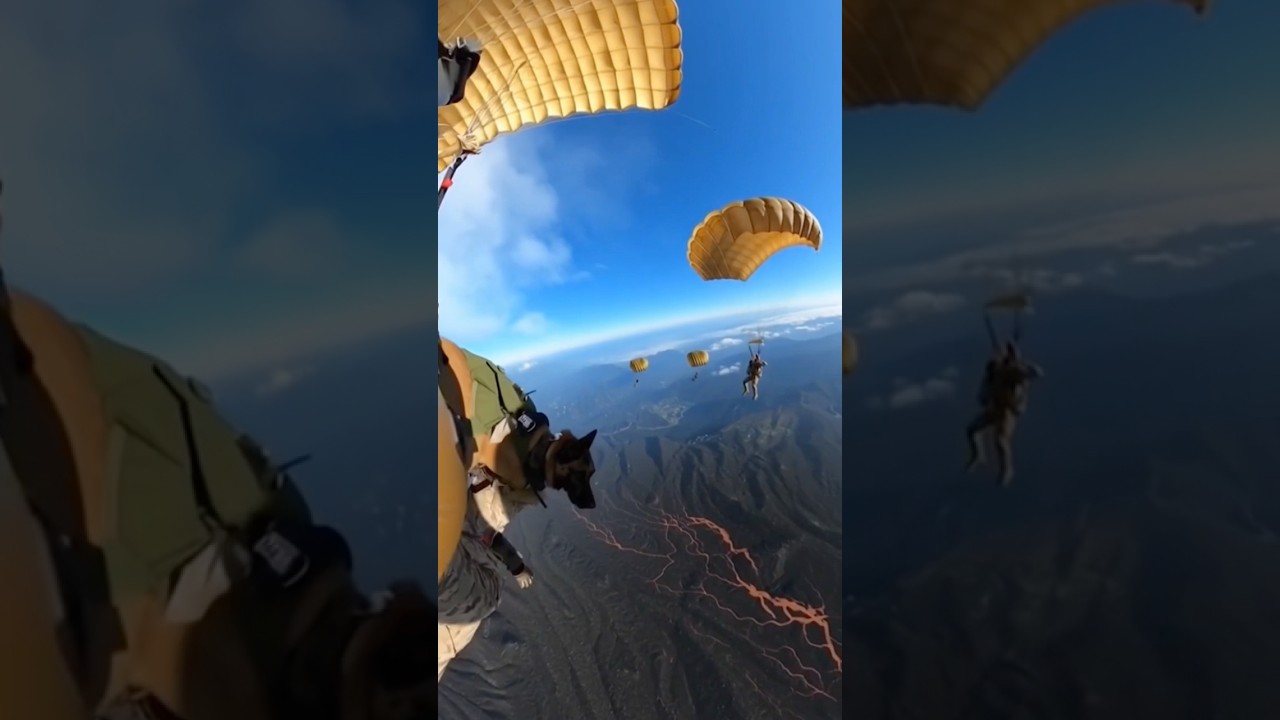 Tactical elite K9 dogs training to jump from plane in volcano
