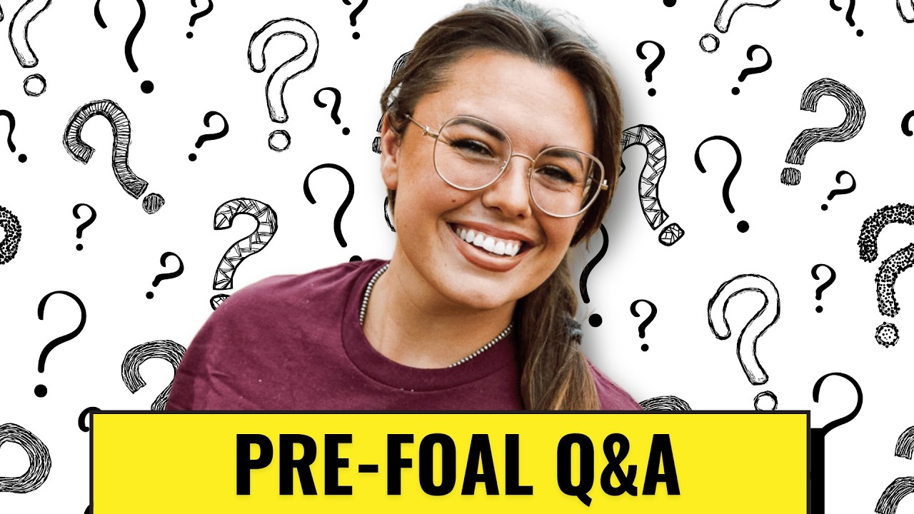Answering Your Most Asked Questions!
