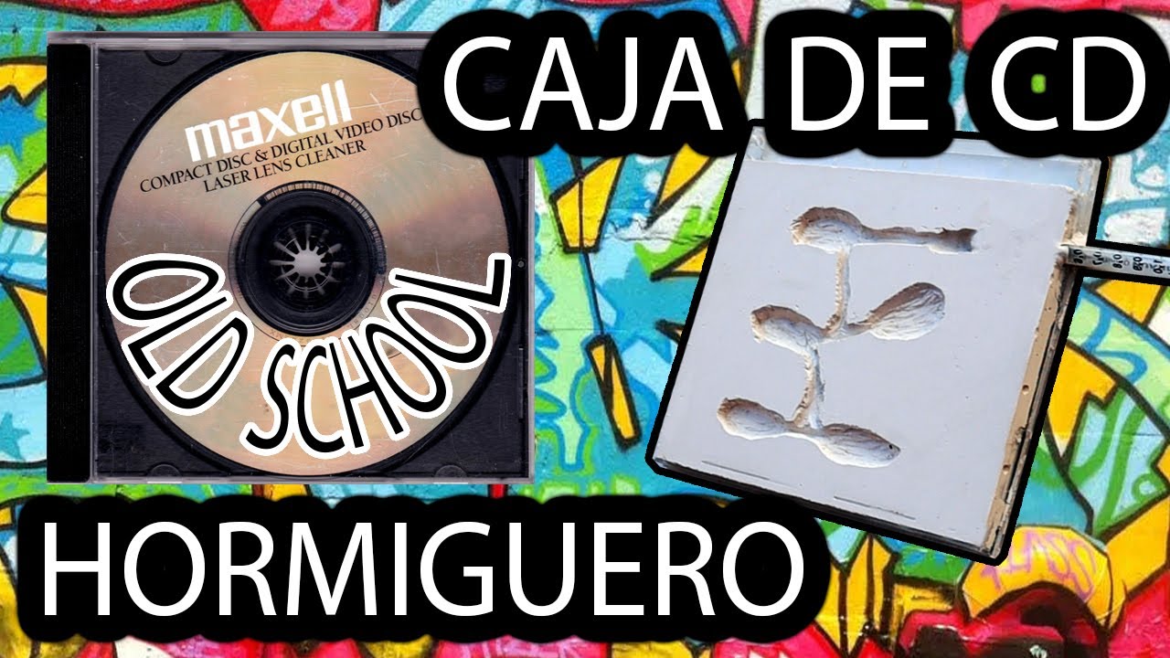 ASÍ ES COMO SE HACE UN HORMIGUERO CASERO ANTIFUGAS - CAJA DE CD CON ESCAYOLA