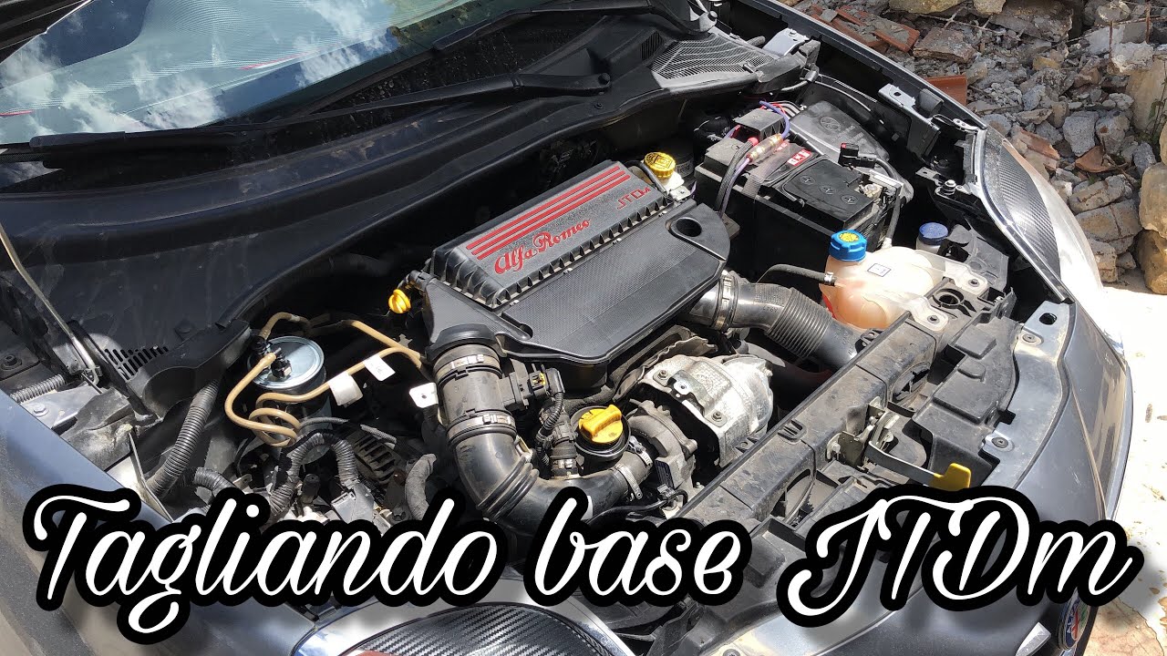 Tagliando base JTDm su Alfa Romeo MiTo