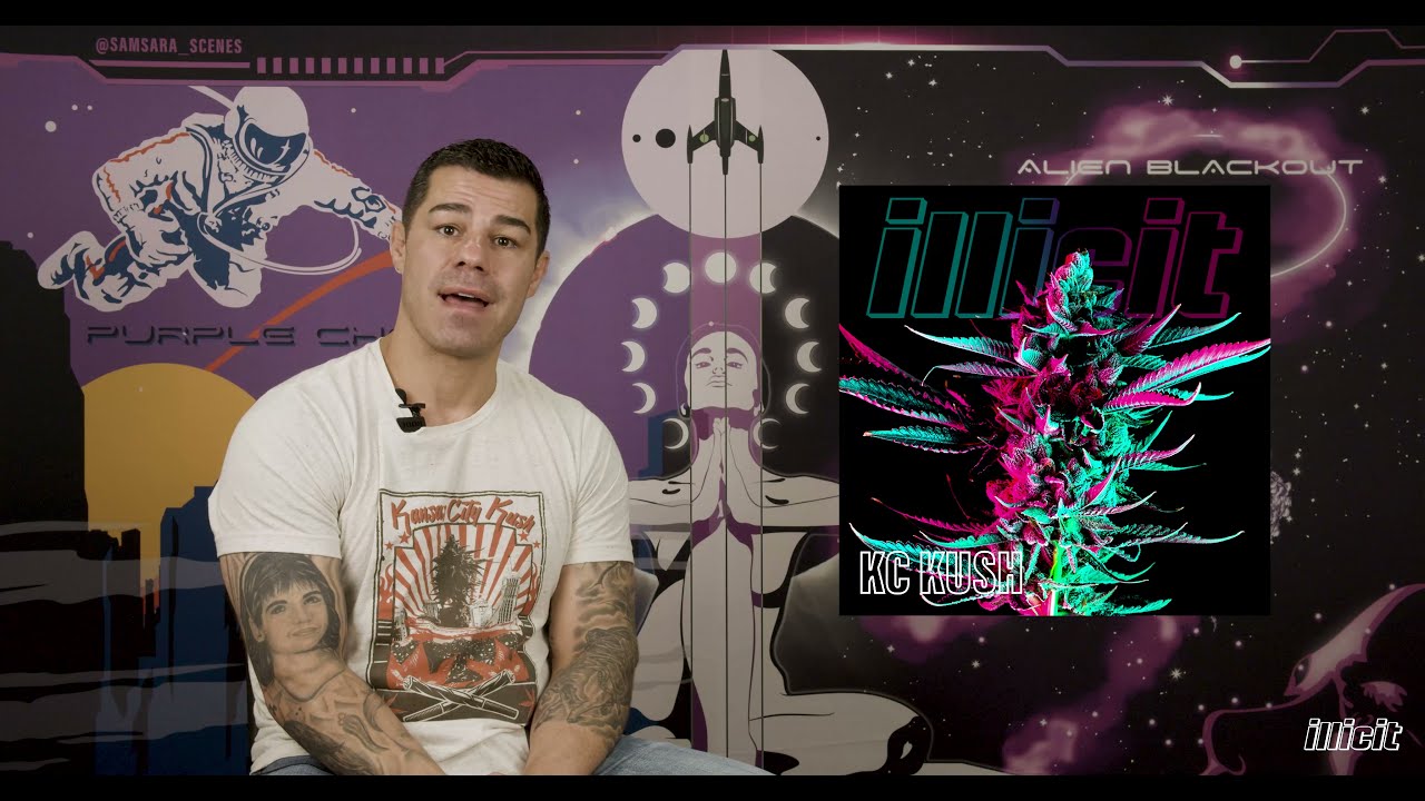 ILLICIT STRAIN EDUCATION: KC KUSH