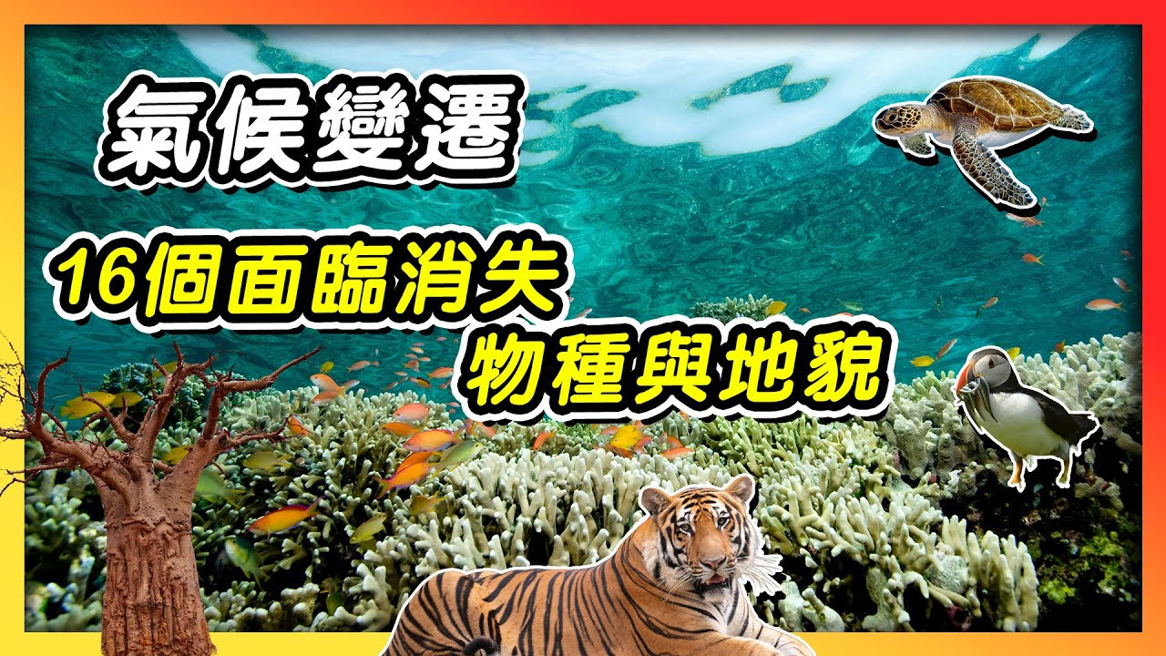 全球暖化衝擊　16 物種地貌面臨消失危機