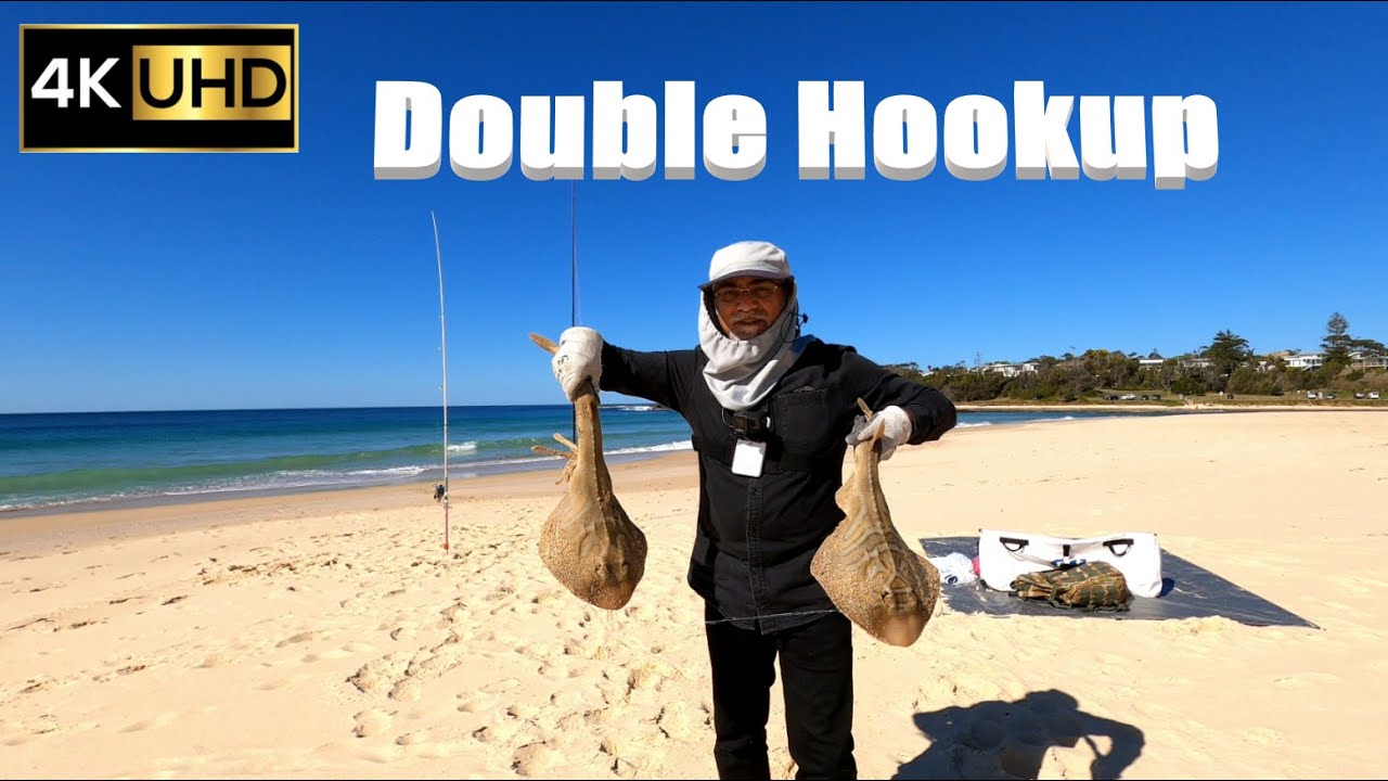 Banjo Shark Double Hookup at Burrill Beach Ulladulla | Drone Beach Fishing 4K