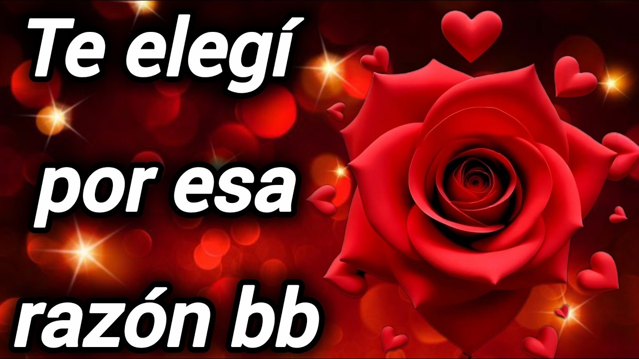 Te elegí por esa razón bb