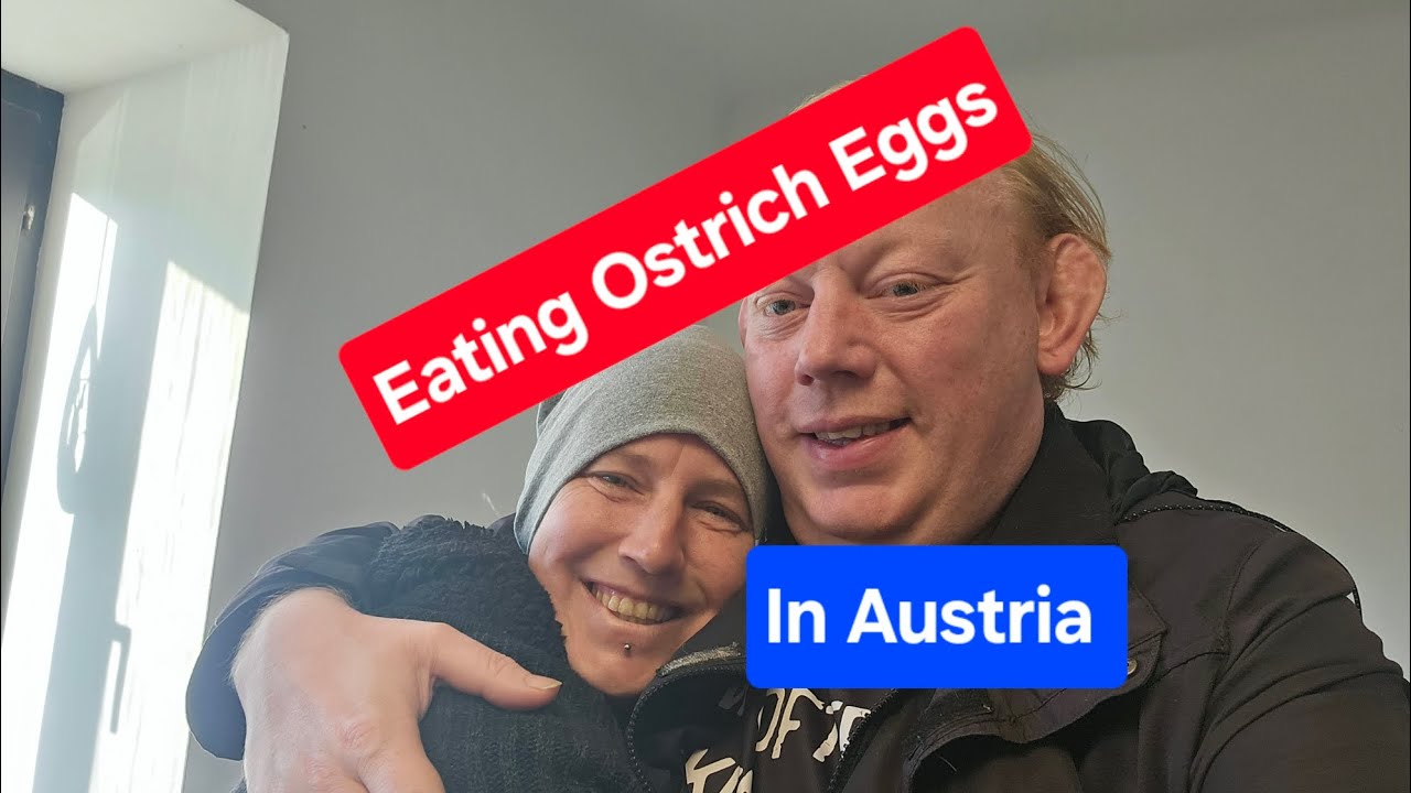 Party time means losing my ostrich egg virginity and a BJ? 🥚 😋 