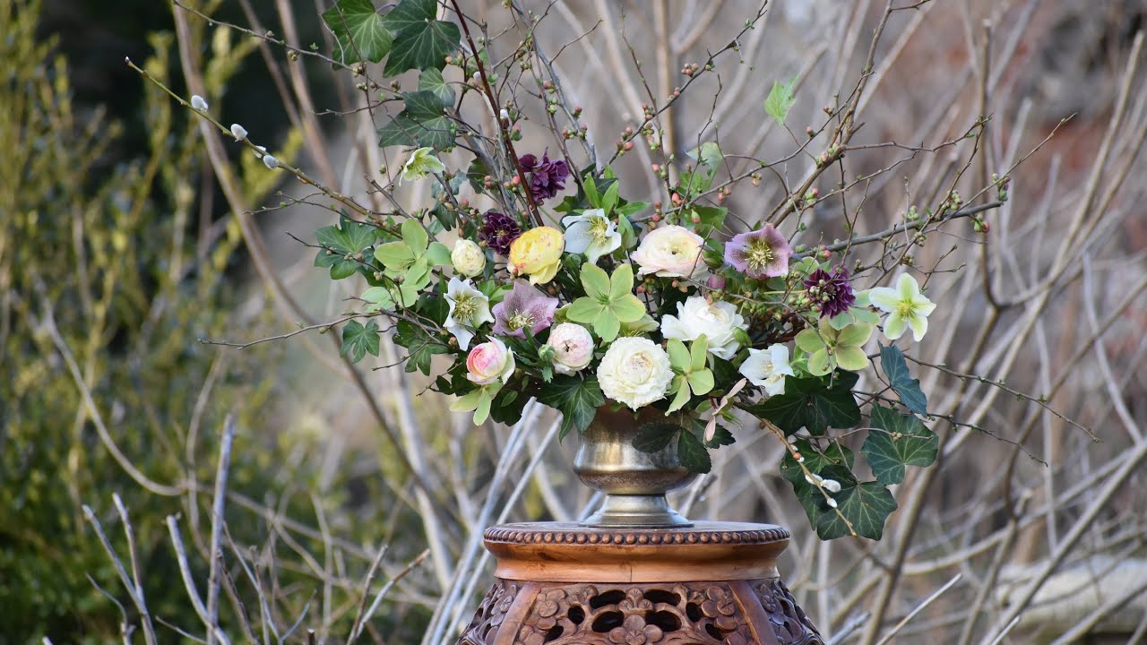 Make Cut Hellebores Last Longer in the Vase // How to Harvest and Condition Hellebores // Northlawn