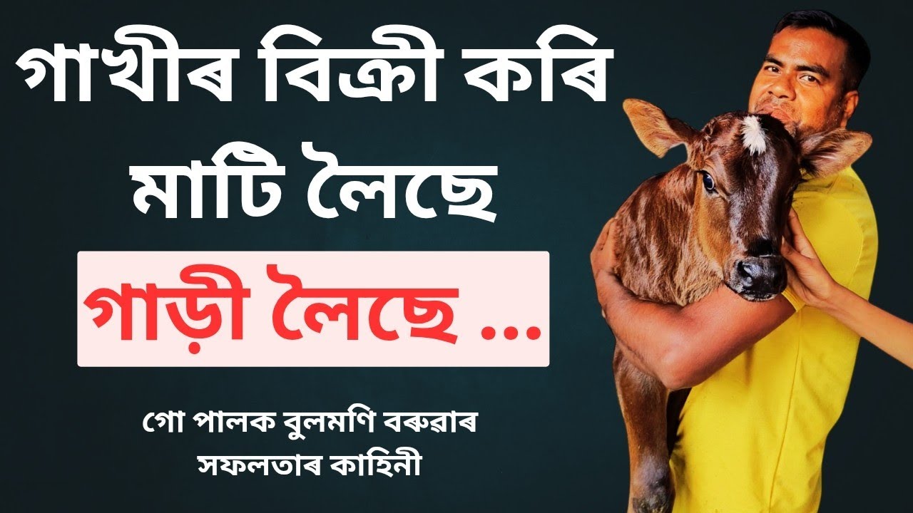 গৰু পালন  ।। Dairy Farm In Assam  ।। Success Story   ।।Assamese Vlog