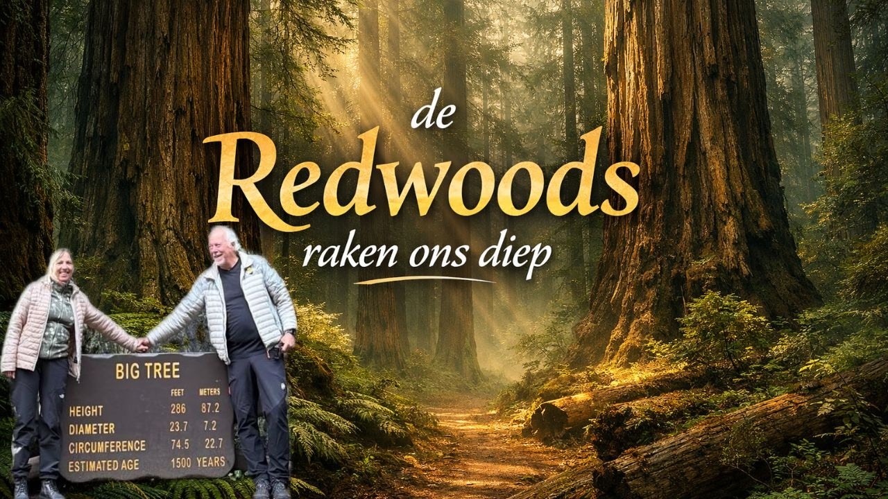 Afl 29 ONTROERD DOOR DE REDWOODS.