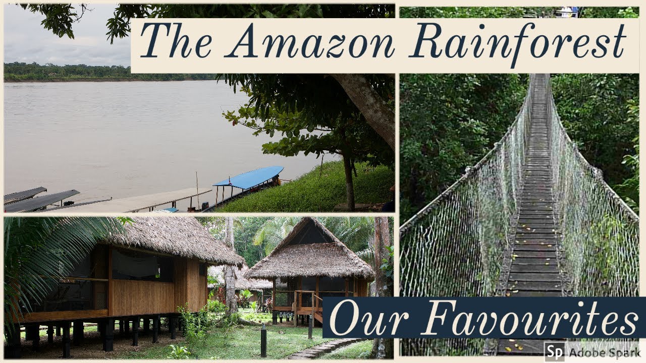 The Amazon Jungle - Our Favourites - Inkaterra Lodge