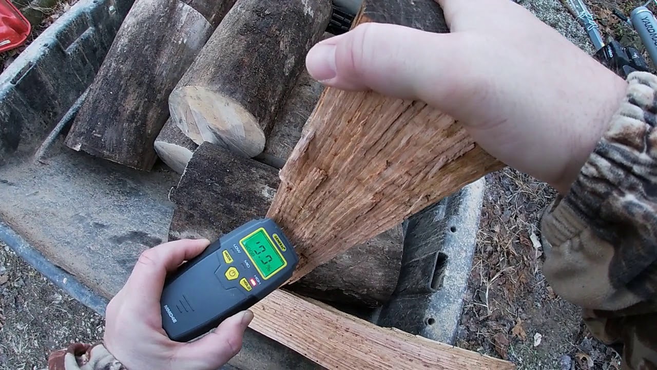 Can you burn standing dead trees?