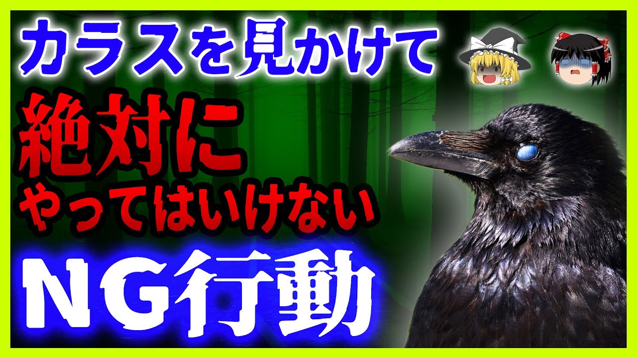 【ゆっくり解説】知らなきゃヤバい！カラスに襲われる人8選！カラスが人を襲う”ある理由”とは？過去の実例、対処法、生態から行動パターンまで！これを見たらカラスに襲われない！
