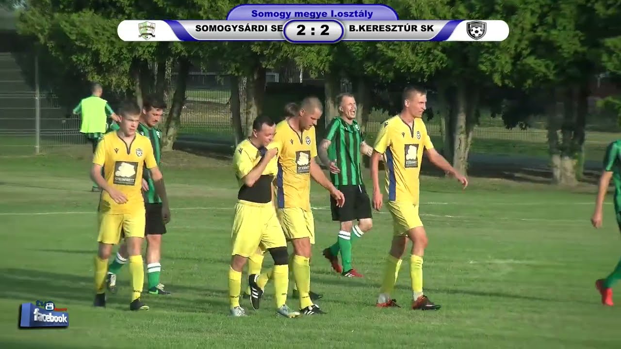 SOMOGYSÁRDI SE - BALATONKERESZTÚR SK  3 - 3 (2 - 0)