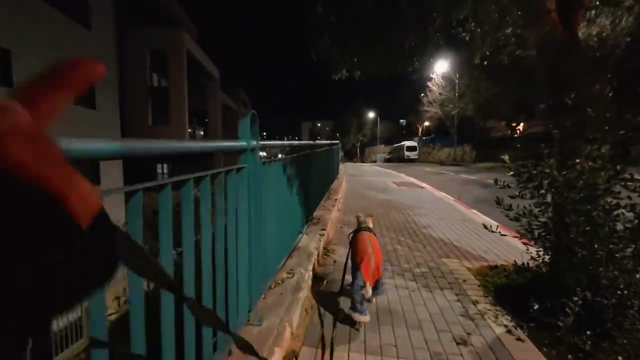 DJI Osmo Nano. Lowlight 80% humidity  +9C temp.