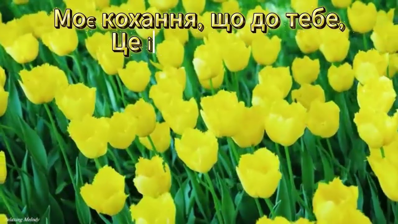 Кожна мить з тобою, то і є життя  (автор Анатолій Бельський)