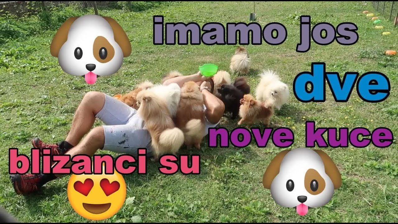IMAMO JOS DVA NOVA PSA