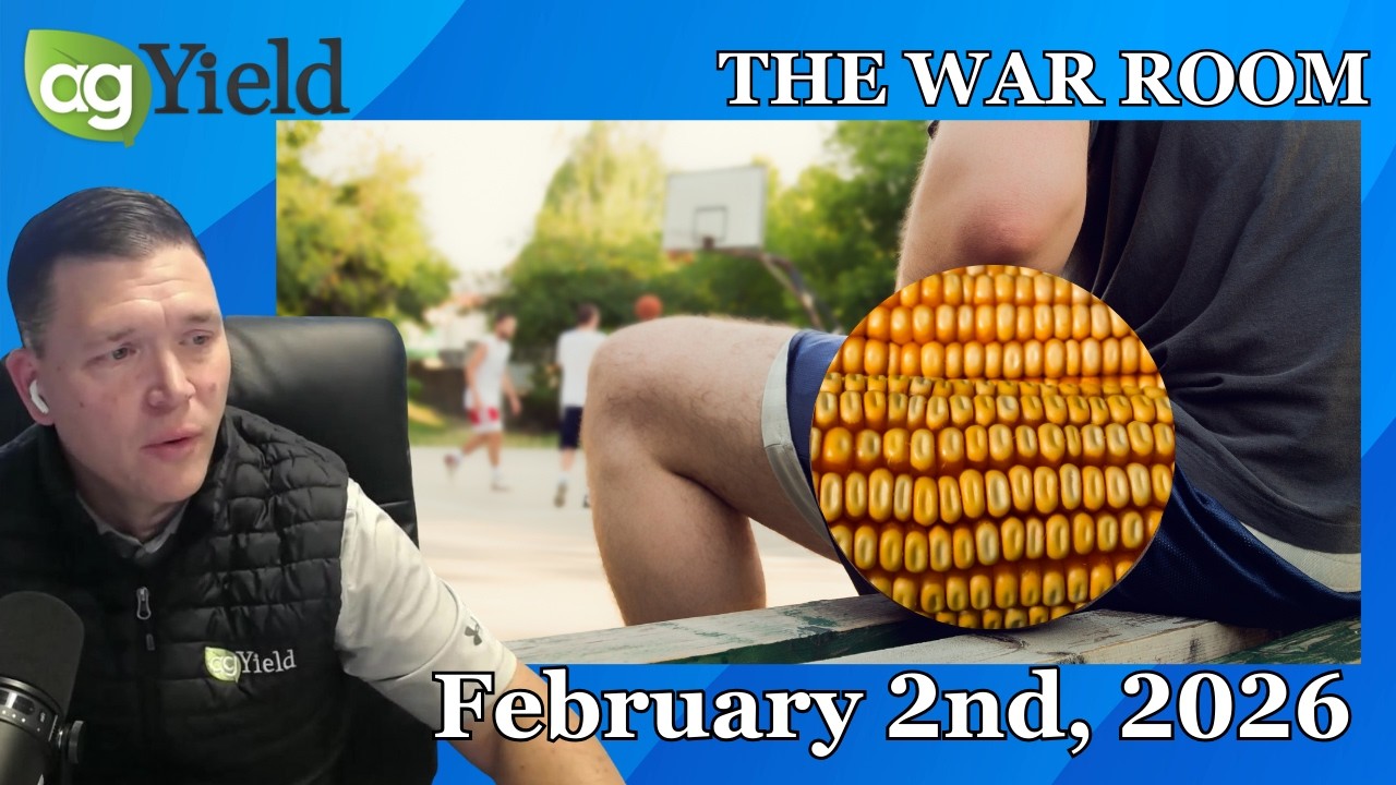 The grain markets are stuck on the sidelines looking for a story... | The War Room: Feb 2nd, 2026