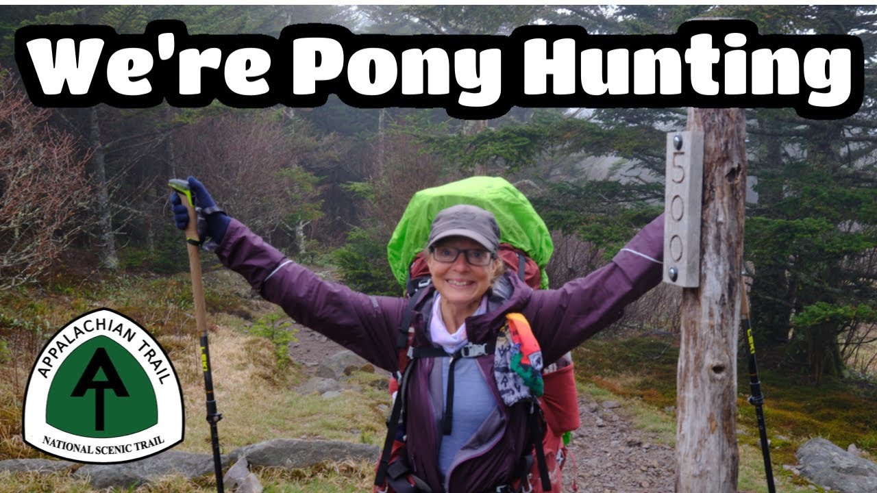 The Search For Caramel | Appalachian Trail Thru-Hike 2025