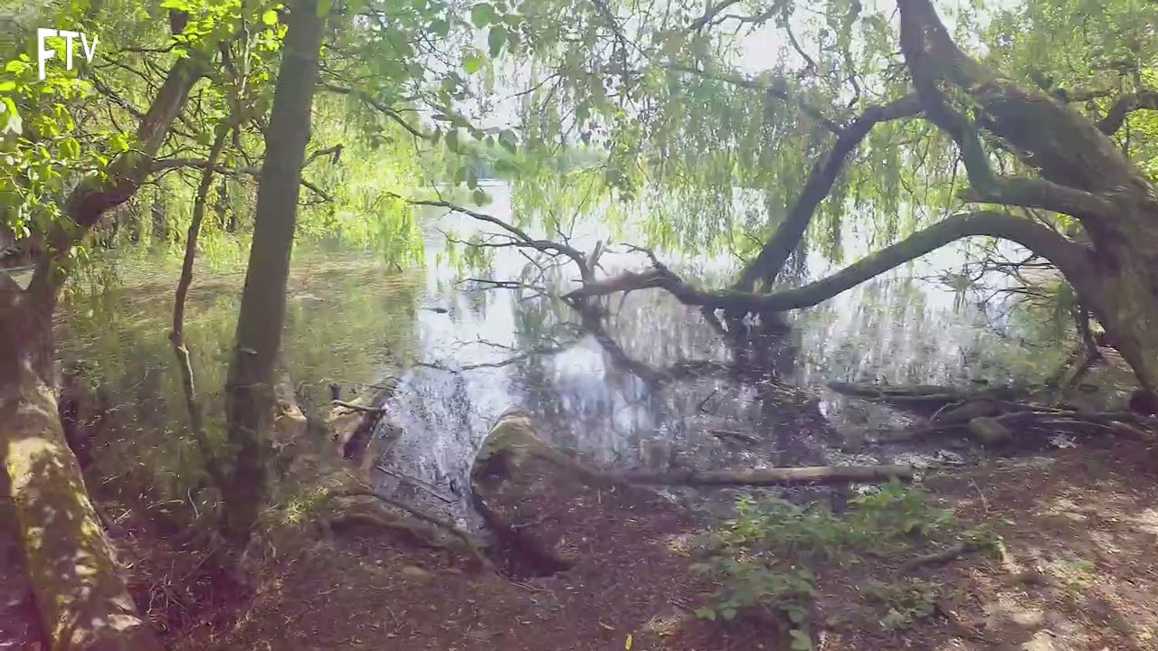Heider Bergsee