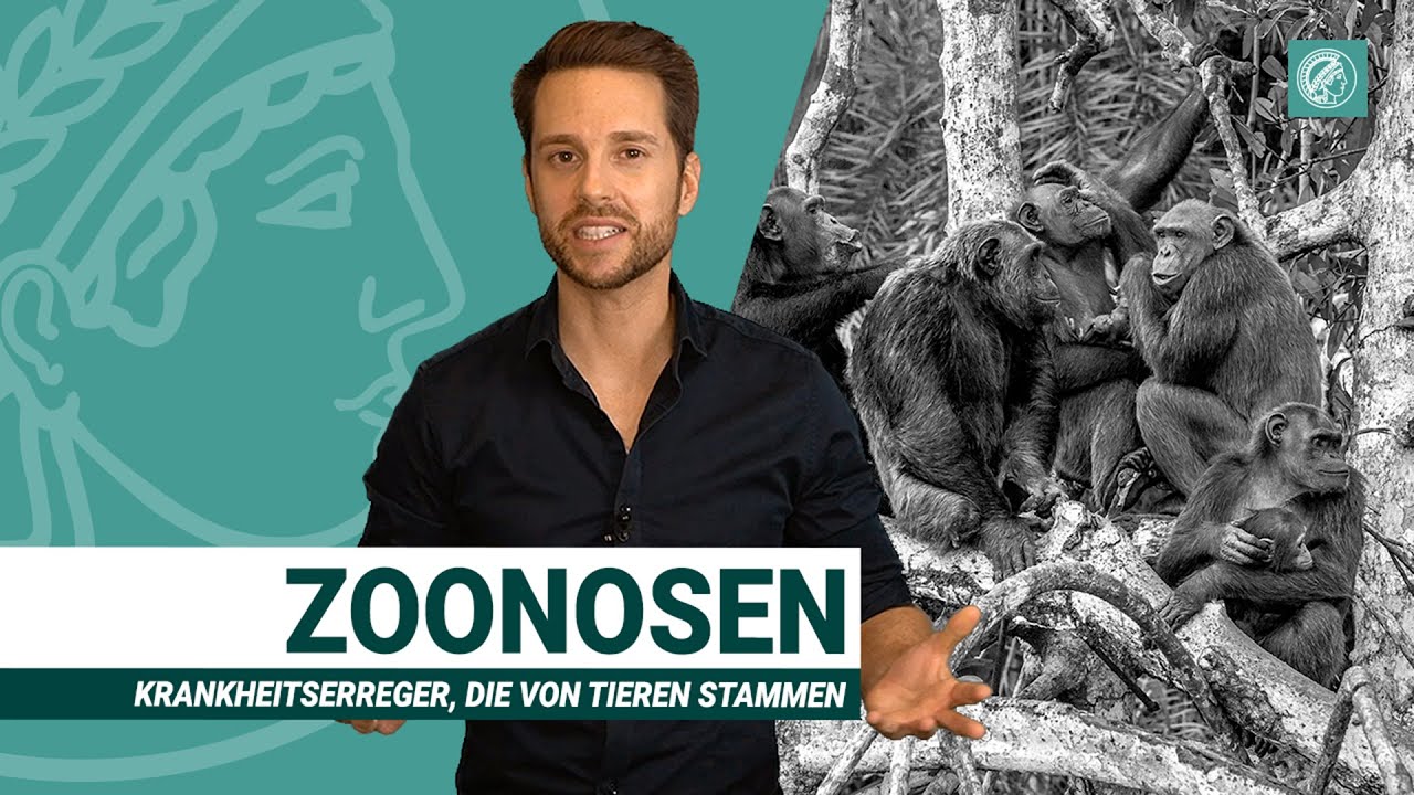 Wildtierm&auml;rkte: Brutst&auml;tten f&uuml;r Coronaviren | Zoonosen und Artensterben | Wissen Was mit MrWissen2go