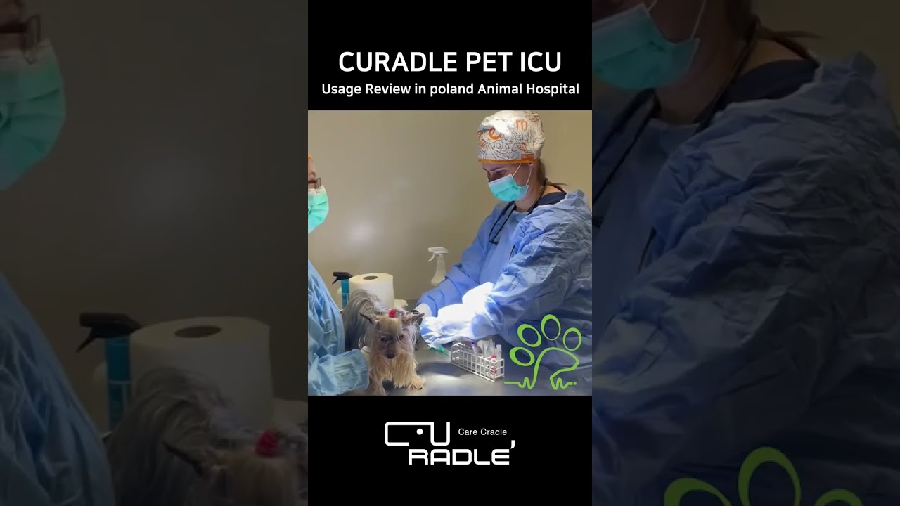 World best Animal Hospital in Poland 👍Veterinary Hospital: Clinic Tour ✨CURADLE PET ICU  #shorts
