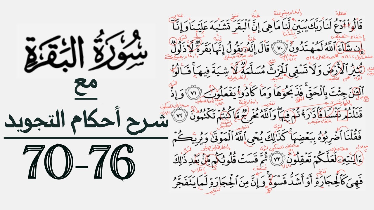كيف تقرأ سورة البقرة مع شرح أحكام التجويد|٧٠-٧٦