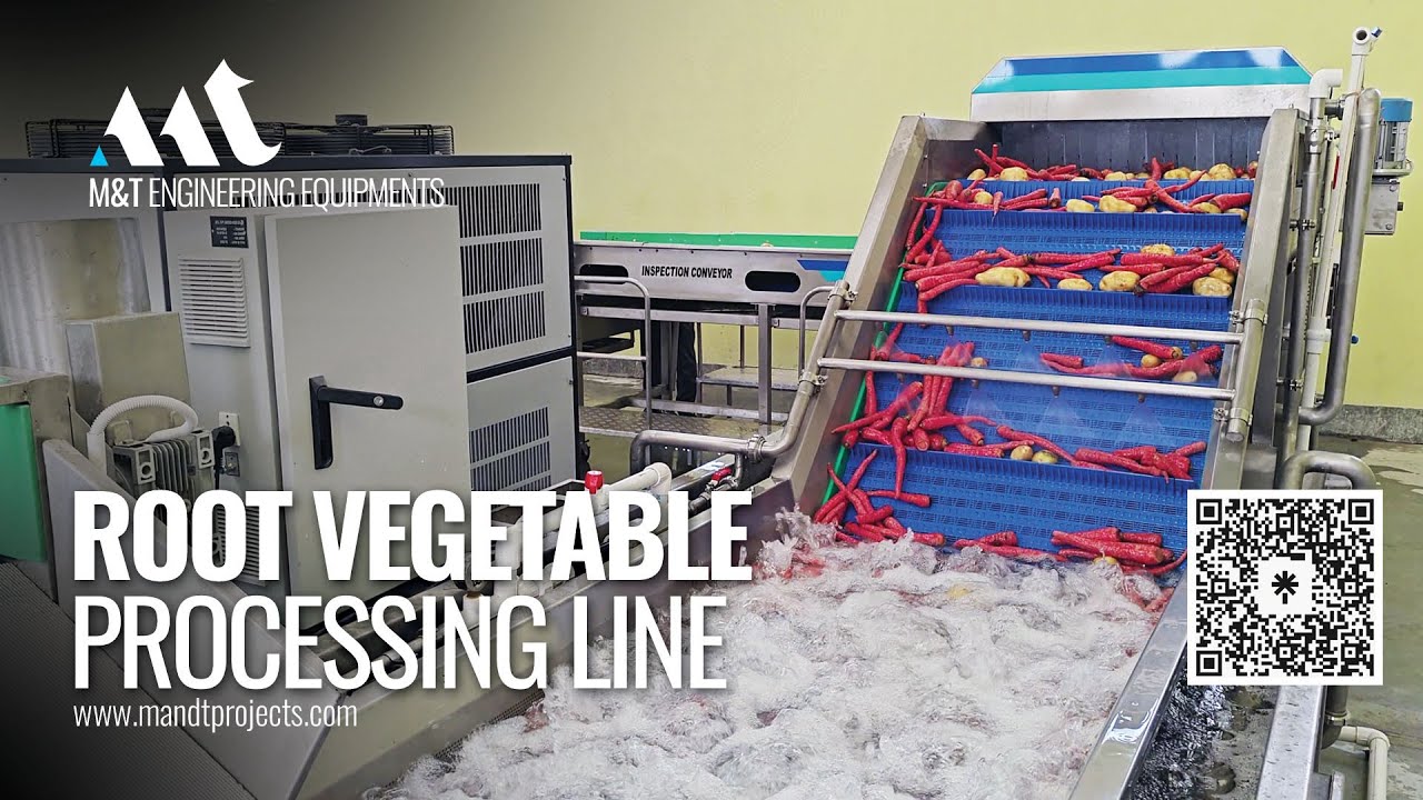 Root Vegetable Processing, Potato Washing Line, Potato Washer, Carrot Washer, Carrot Processing Line