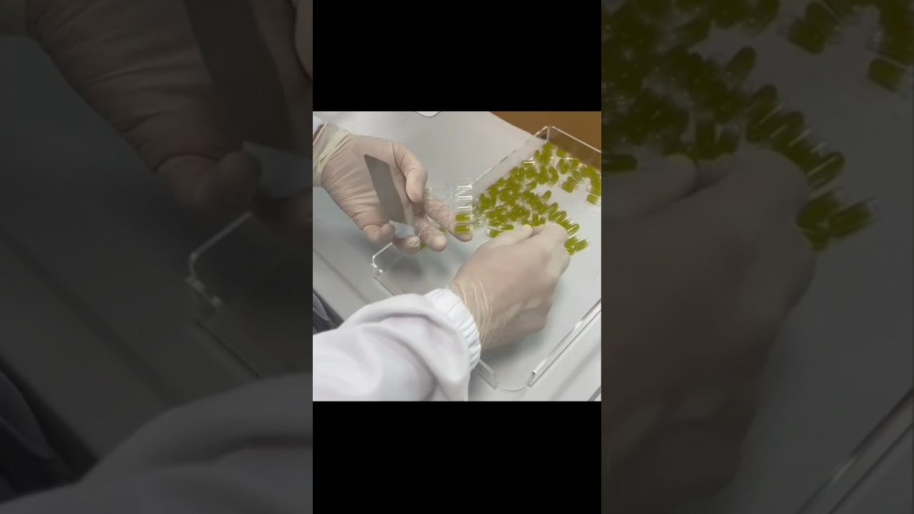 Capsule di Olio di Cannabis con Autorep 