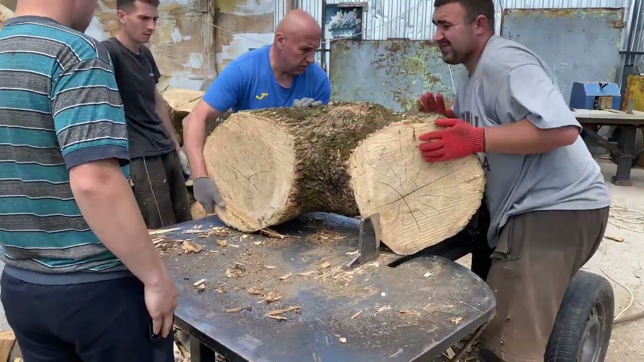 Добрий пеньочок🫣