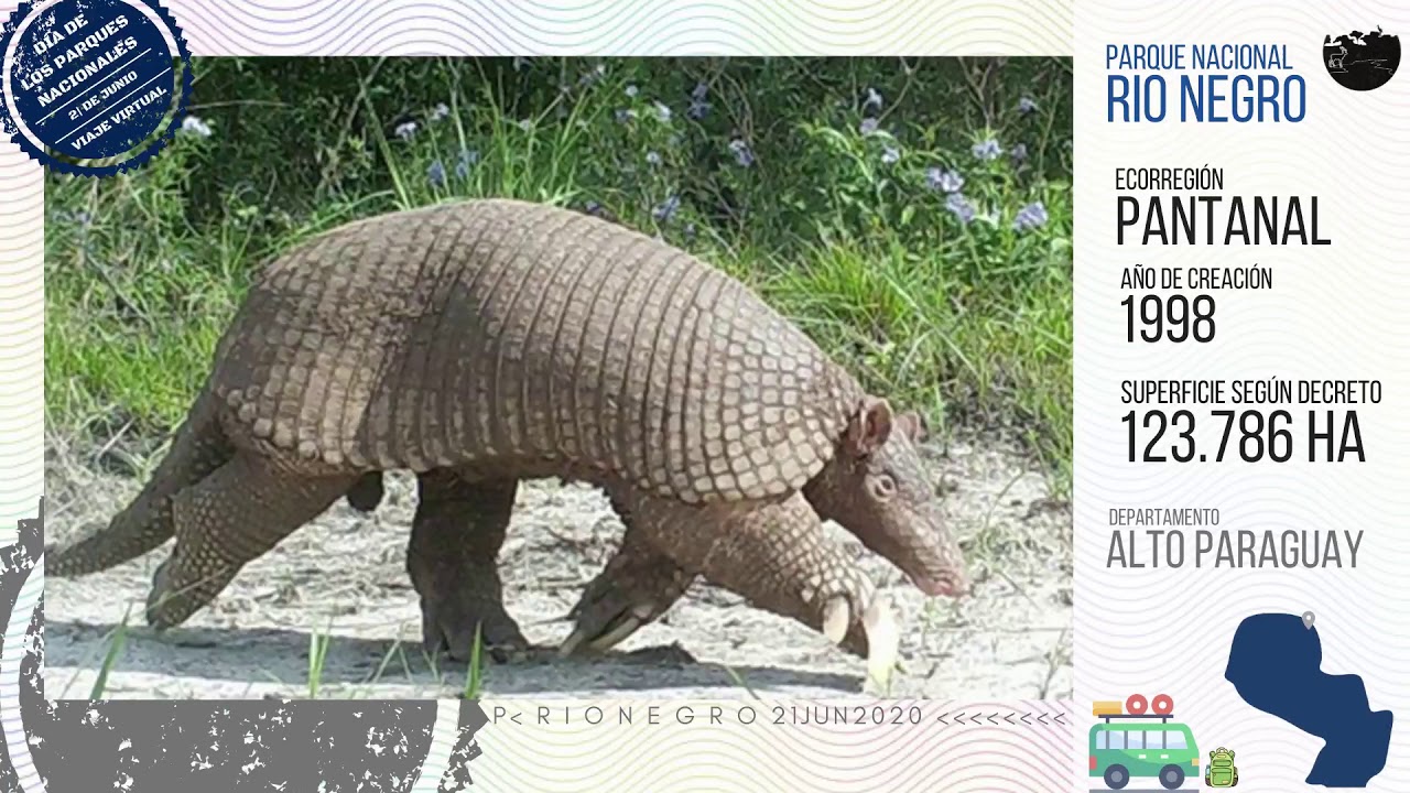 Parque Nacional Río Negro -  Viaje Virtual