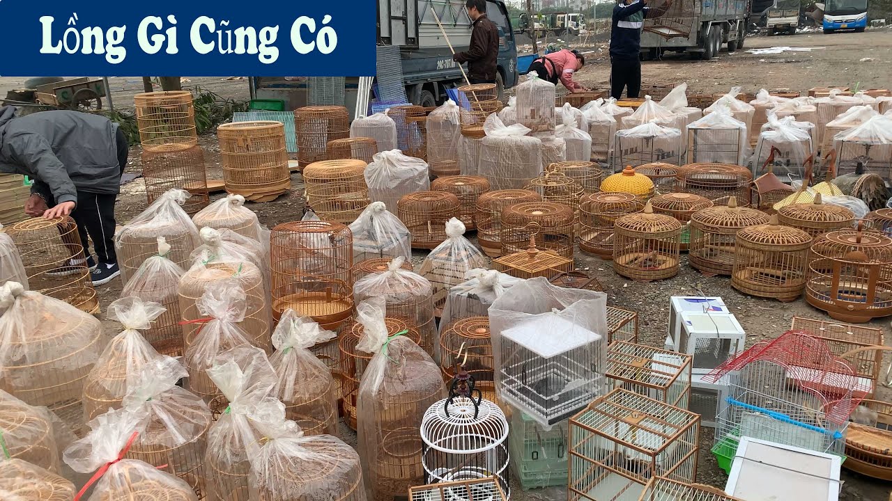 Mua Lồng Chim Tại Khu Chợ Bán Lồng Rẻ Nhất Hà Nội// Chiến Ơi