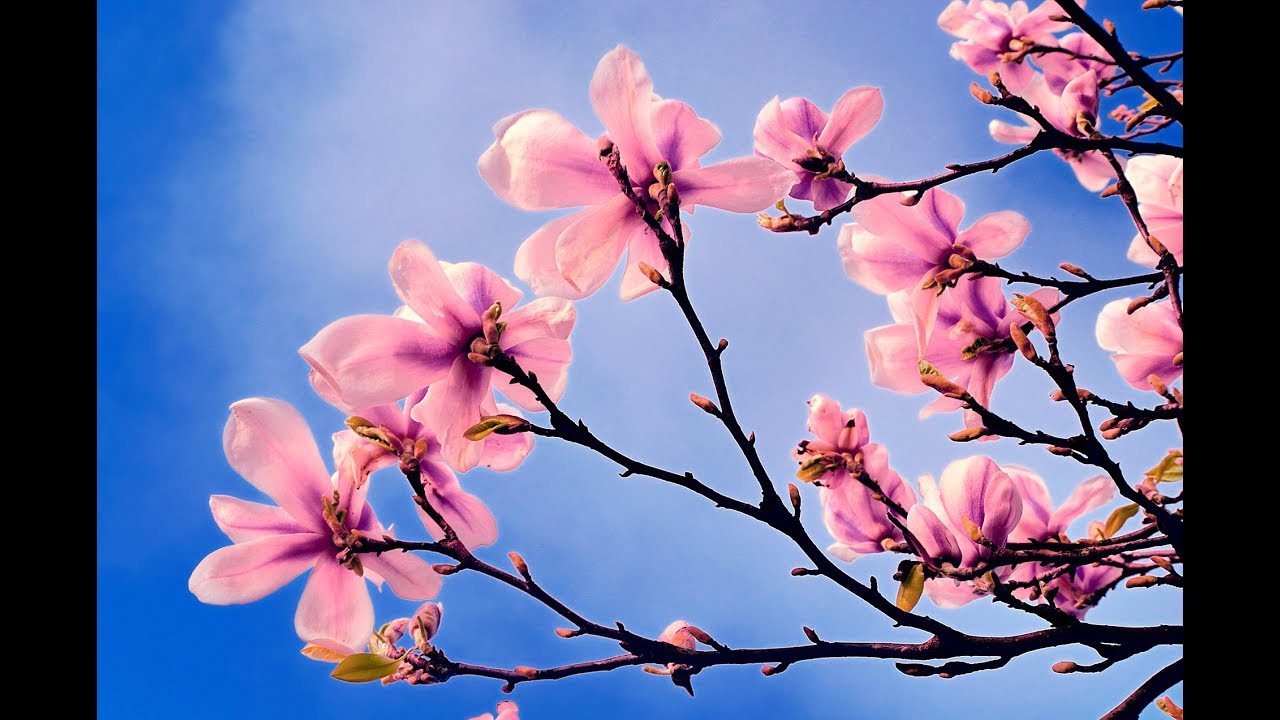 Johnny Mathis - Spring Is Here