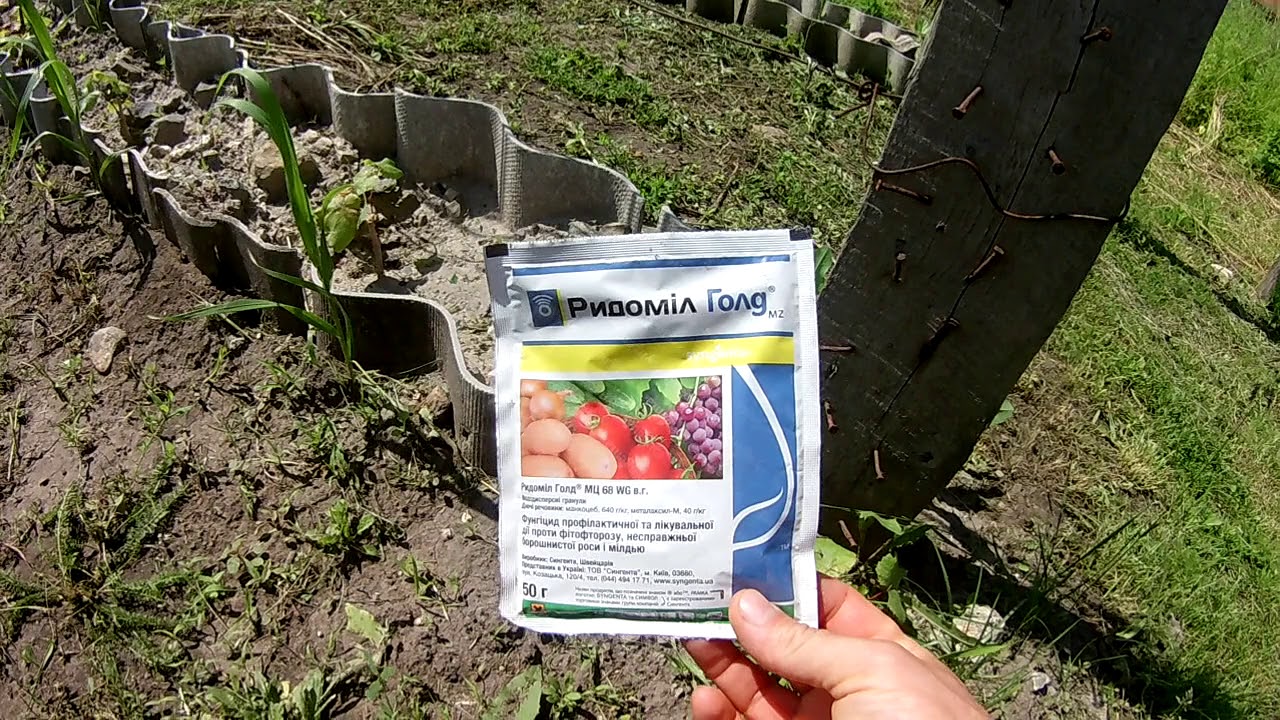 Первая обработка винограда.Задержка вегетации!!!