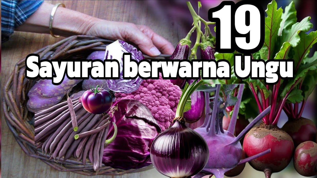 19 Sayuran berwarna Ungu 
