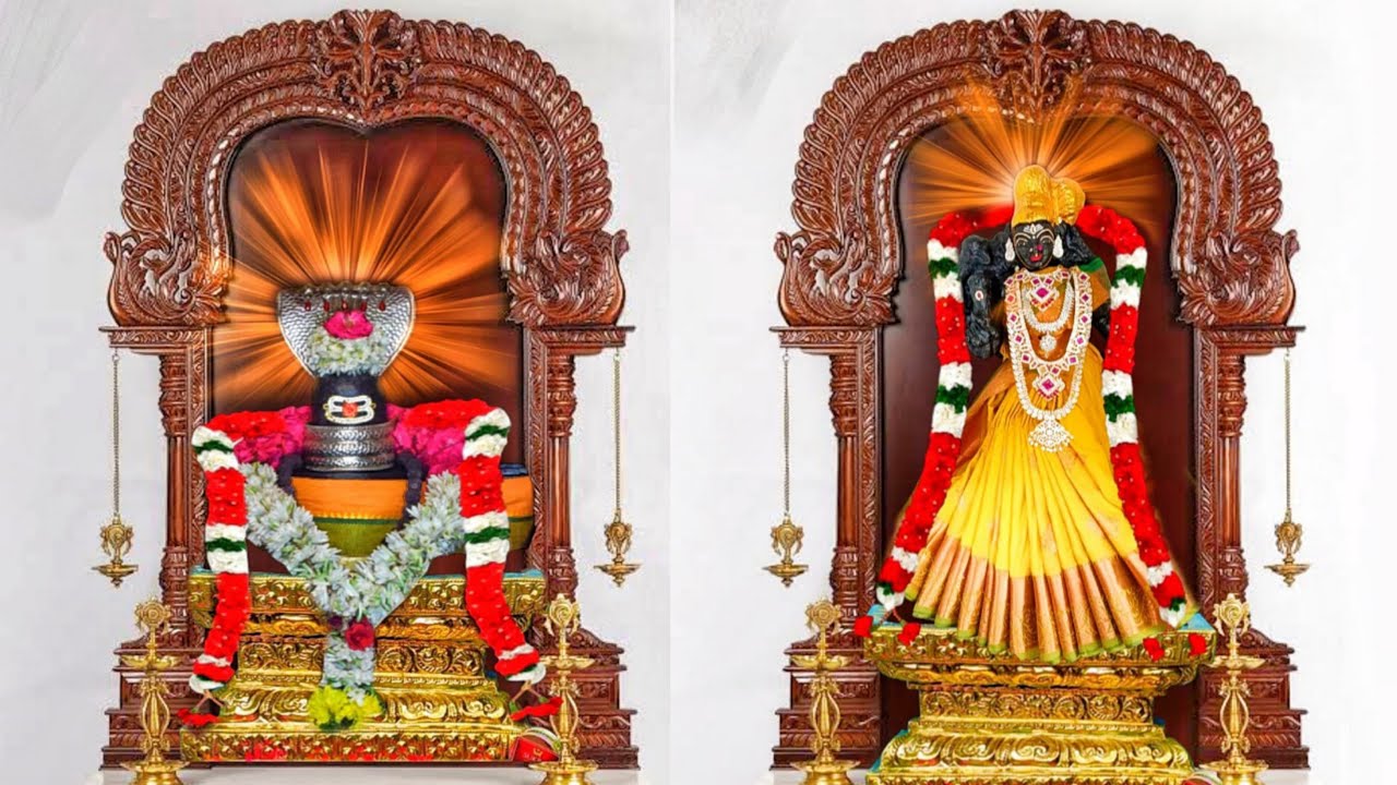 மகாசிவராத்திரியை முன்னிட்டு .......