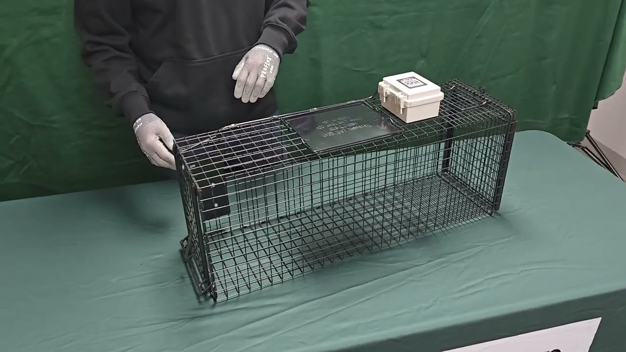 Инструкция по использованию ловушки для диких кошек Heatseeker HS606