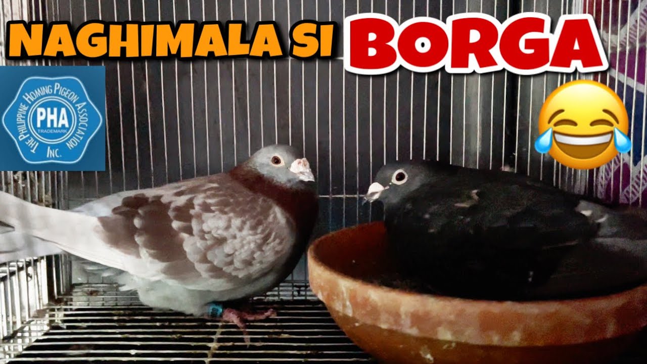SA WAKAS NAGKA ANAK NA SI BORGA, YAHOOOOO!!