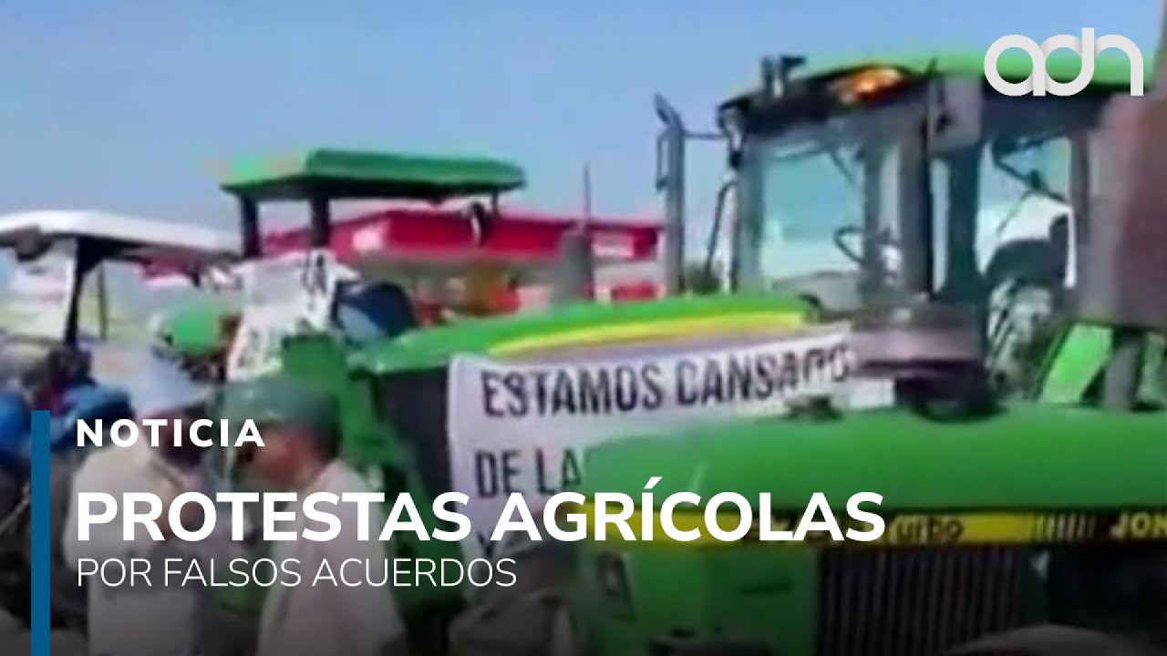 Agricultores acusan al secretario de Agricultura de mentir sobre el acuerdo del precio del maíz