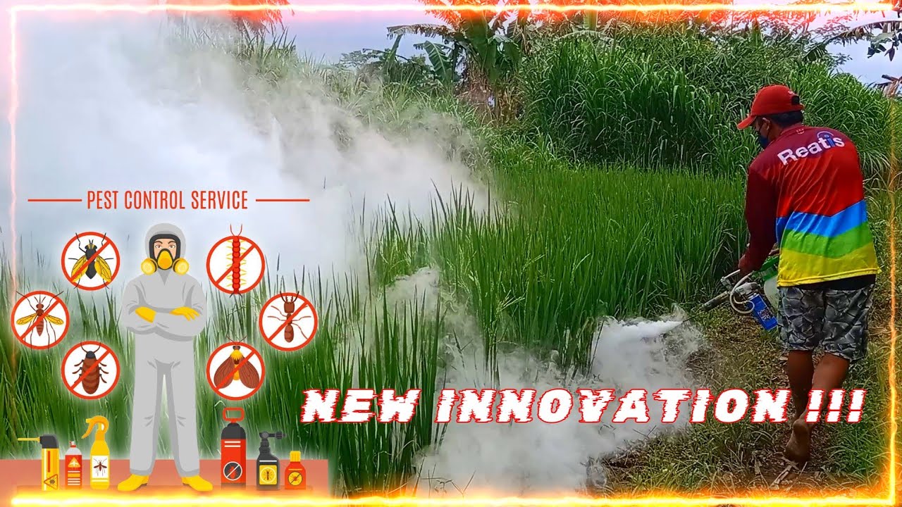 New Inovasi !!! Pengendali Hama Paling Efektif
