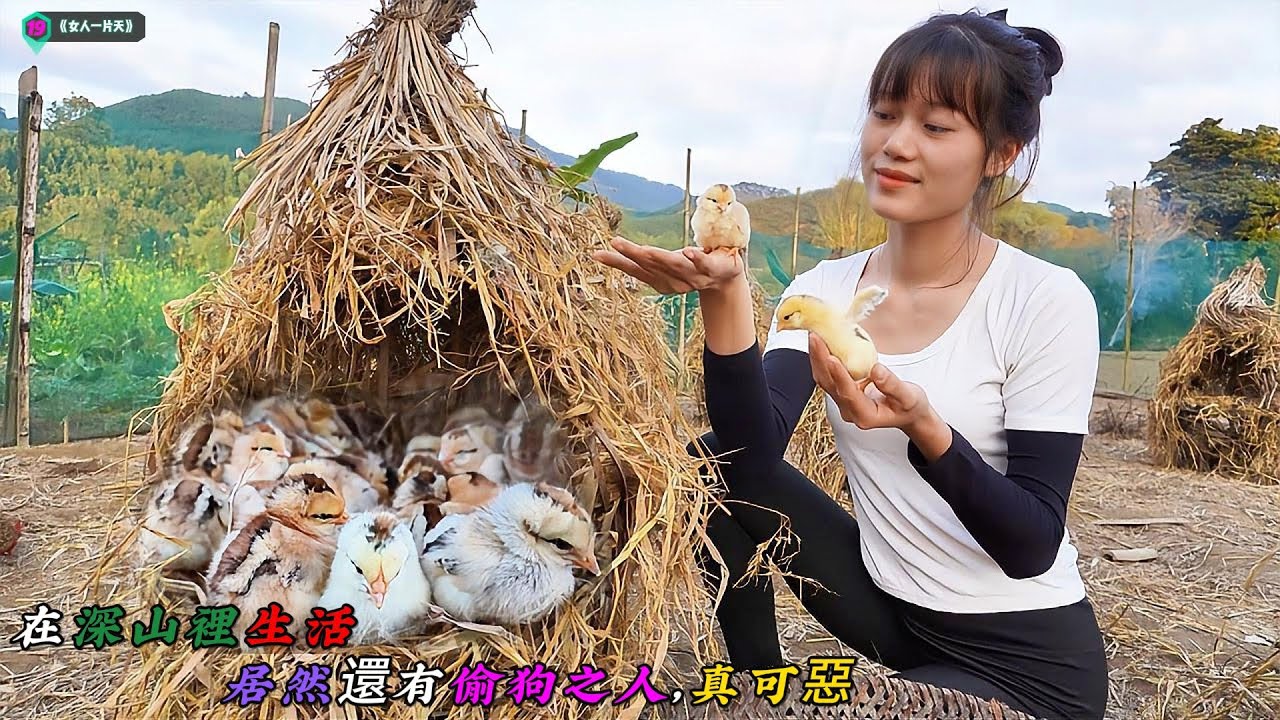 在深山裡生活，居然還有偷狗之人，真可惡《女人一片天》19