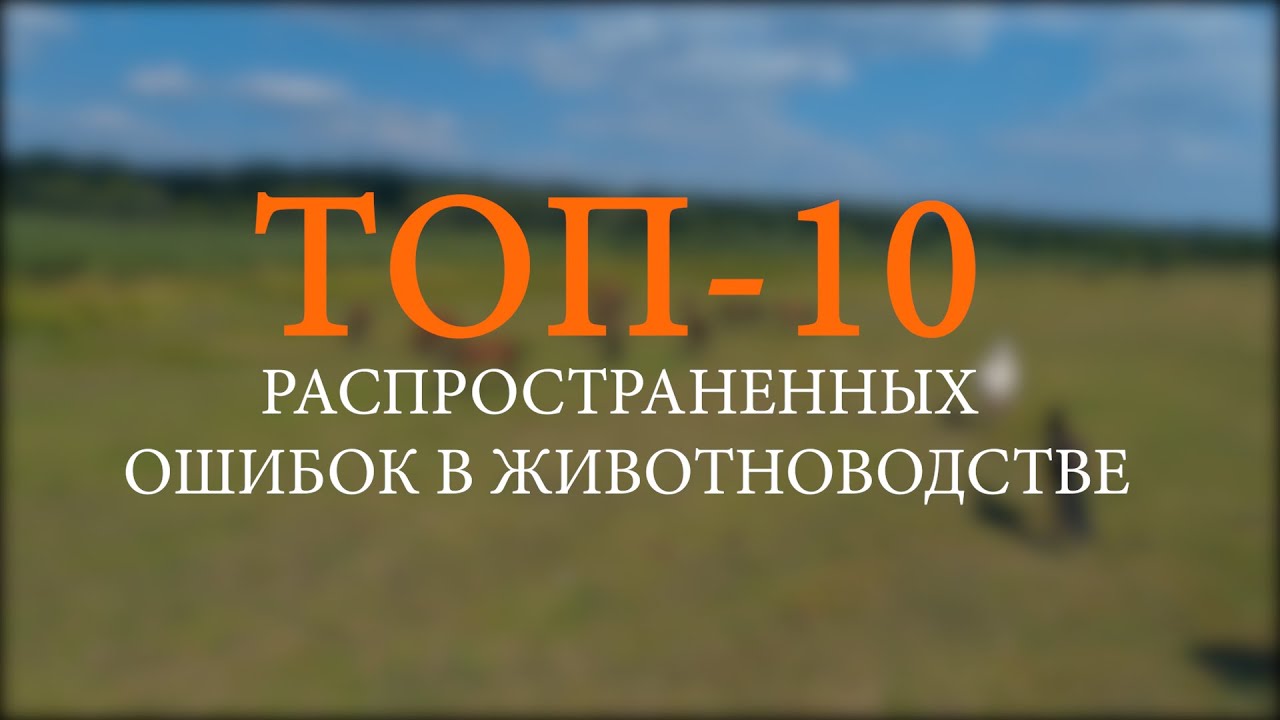 ТОП 10 распространенных ошибок в животноводстве, которых следует избегать