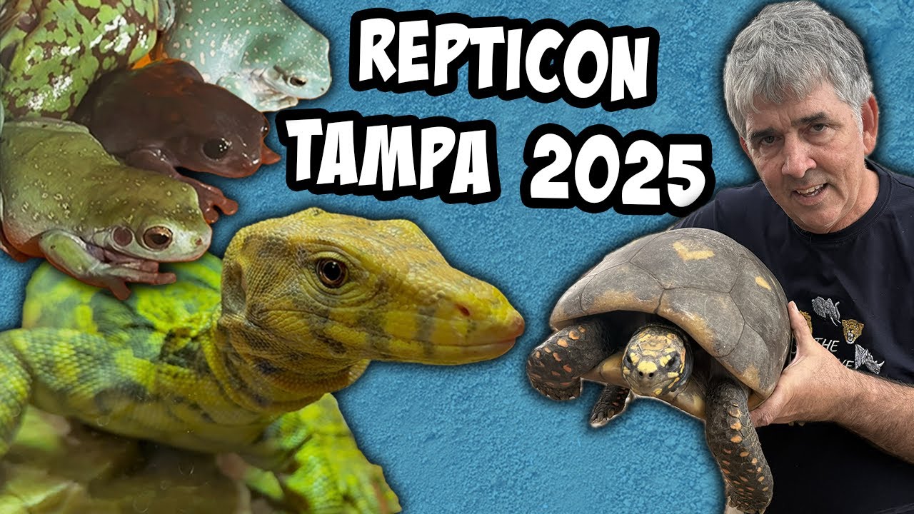 Repticon Tampa 2025.