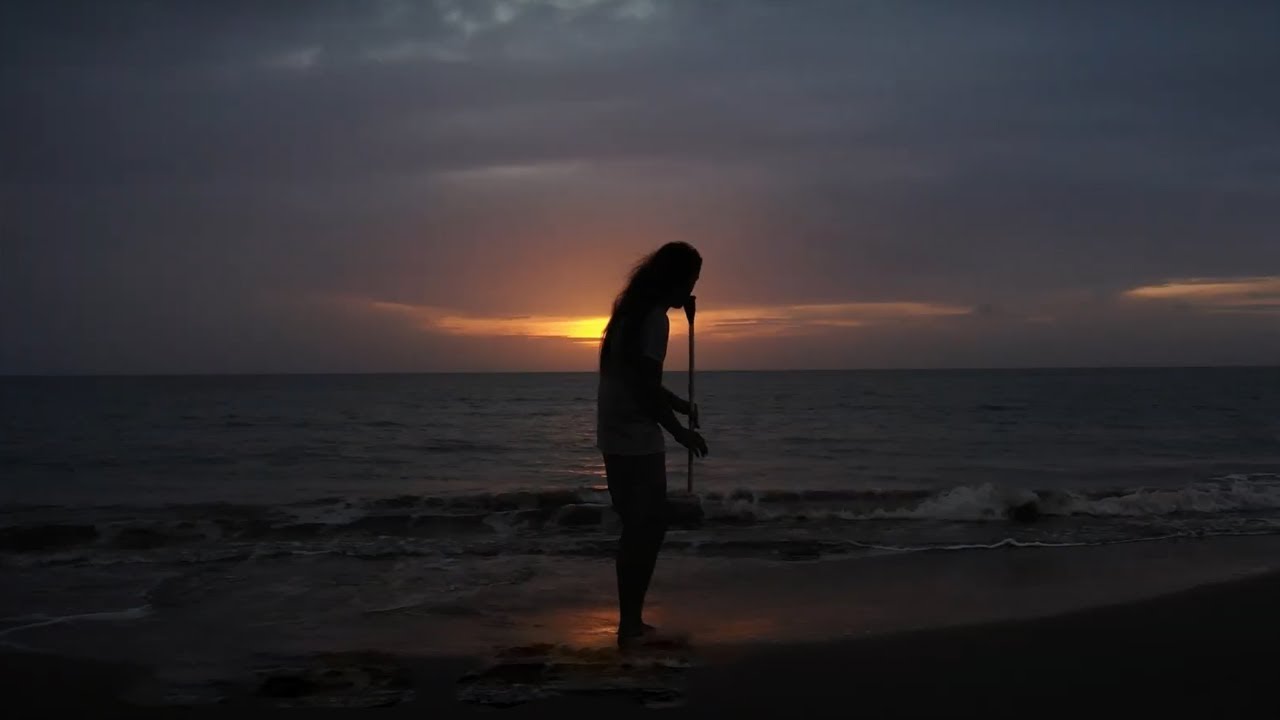 El Leon Pardo - Gaita, Gaita