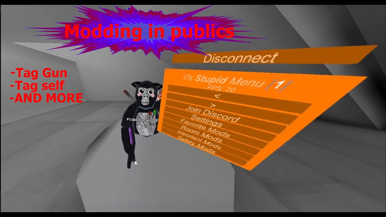 Using mods In public lobbies part 1(With II's Stupid Menu)